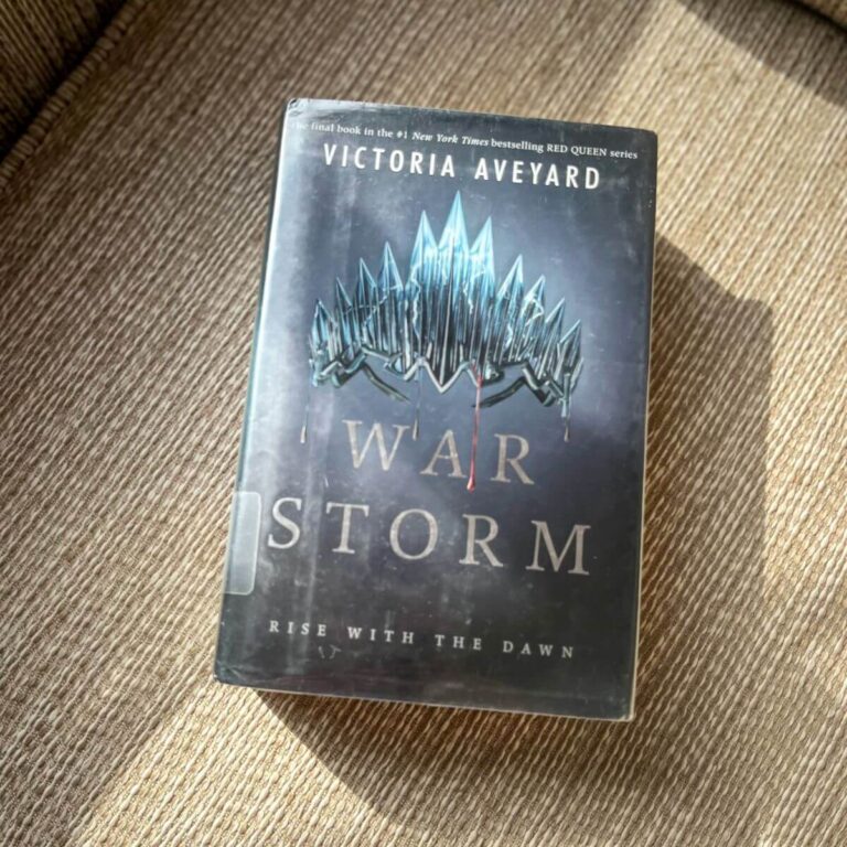 war storm book