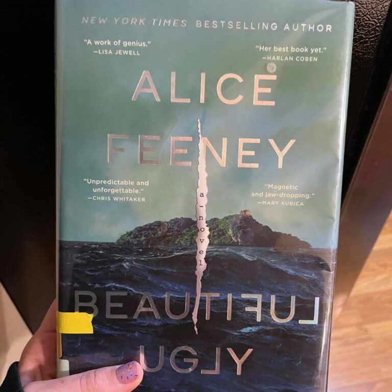 beautiful ugly book cover