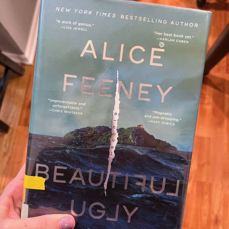 Book Summary of Beautiful Ugly by Alice Feeney