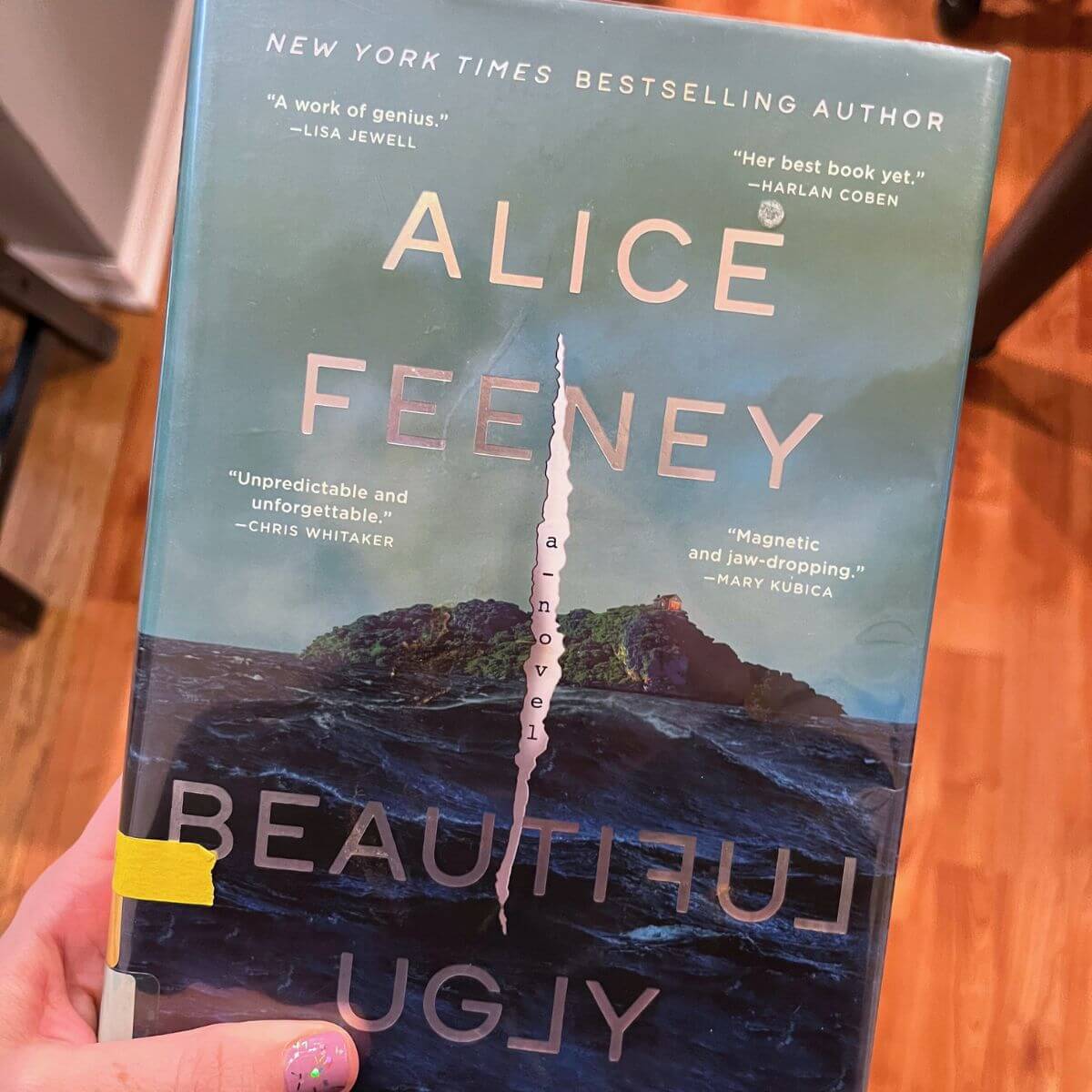 Book Summary of Beautiful Ugly by Alice Feeney